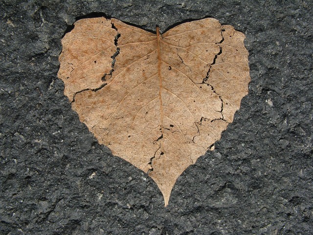 Corazón destrozado Consecuencias de la estafa del amor